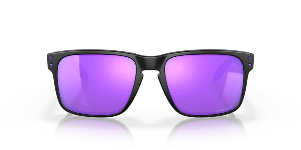 Holbrook Violet