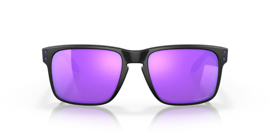 Holbrook Violet