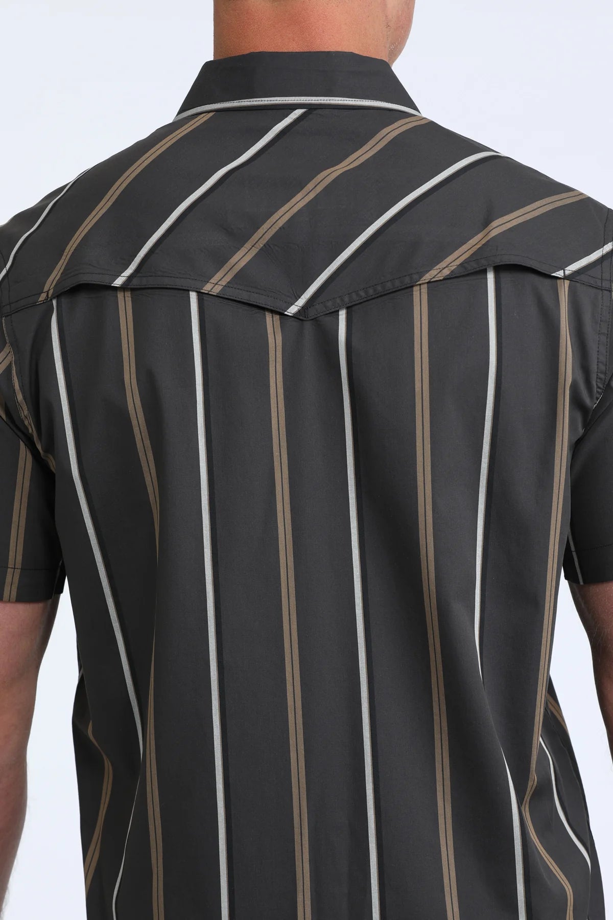 Midnight Stripes