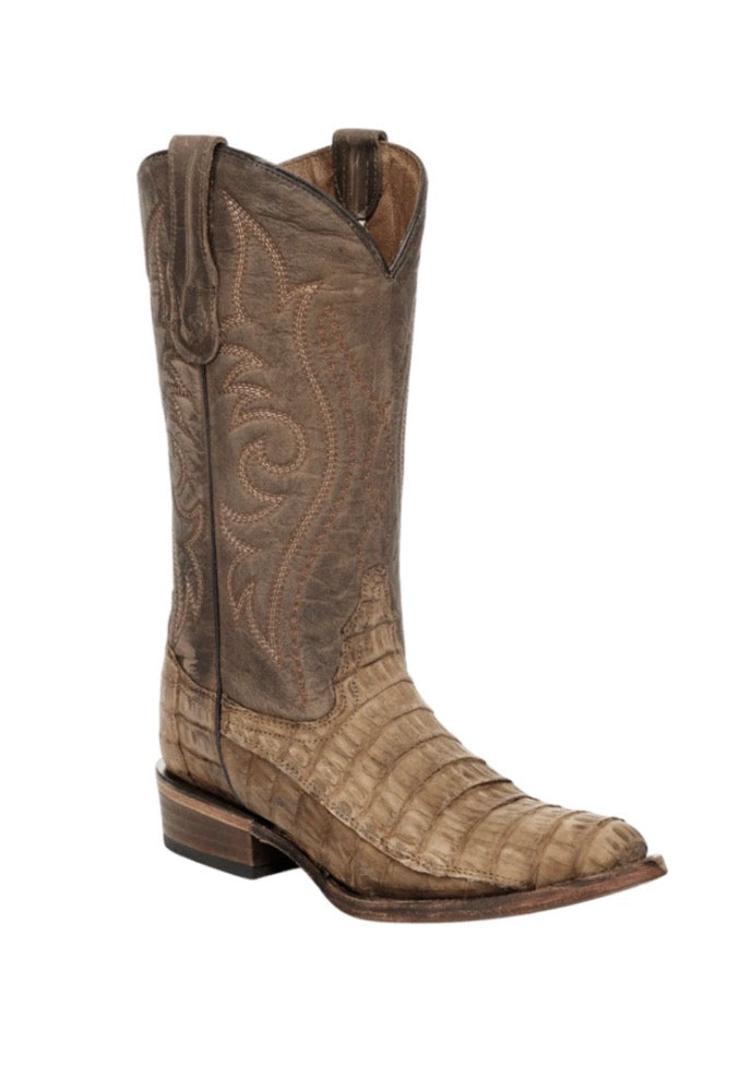 Canyon Caiman