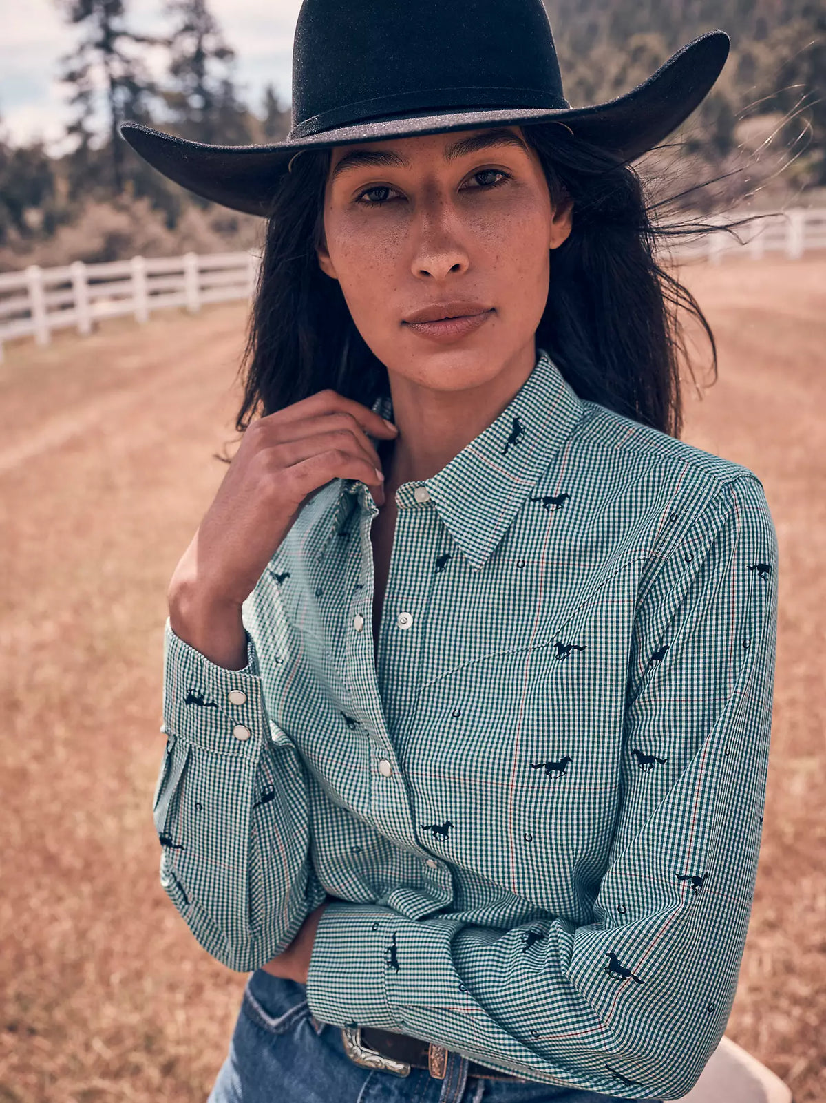 Sierra Western