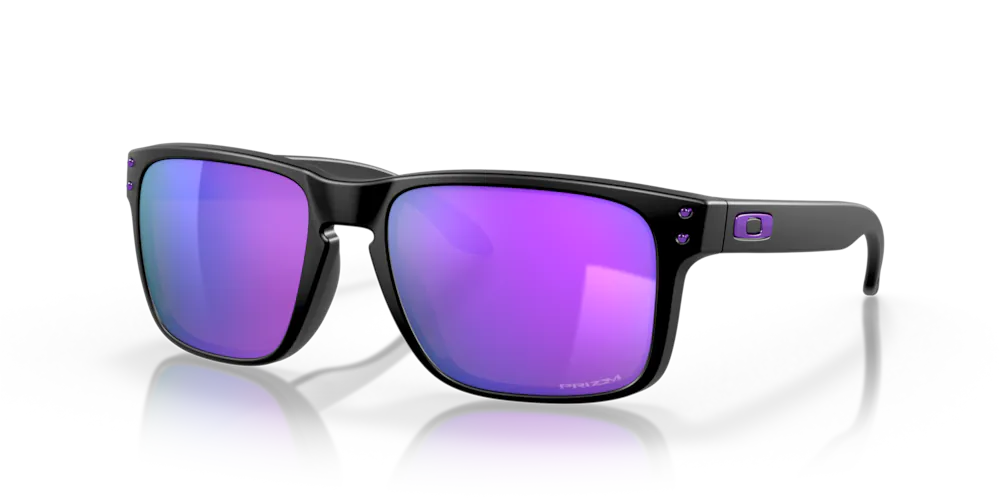 Holbrook Violet