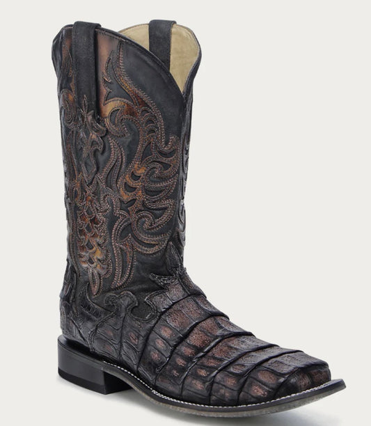 Caiman